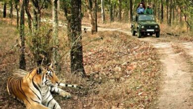 एमपी गो-टू ग्लोबल डेस्टिनेशन्स फॉर-2025 में शामिल