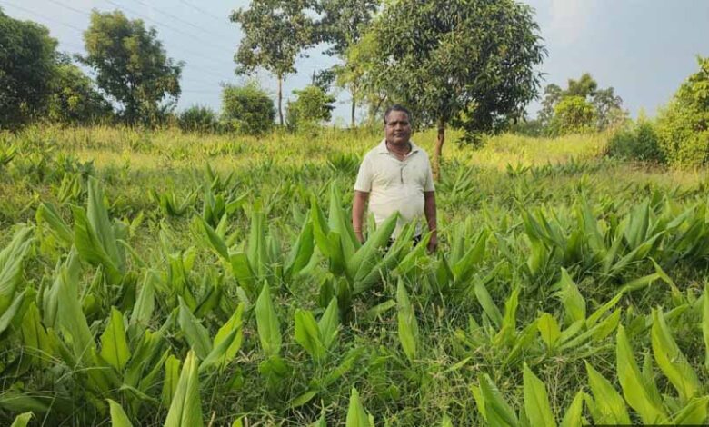 राष्ट्रीय बागवानी मिशन योजना का कृषक ले रहे हैं लाभ