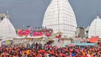 माघ महीने में तुलसी पूजा में भूलकर भी न करें ये 5 गलतियां, वरना मां लक्ष्मी हो जाएंगी नाराज, घर में आएगी तंगी