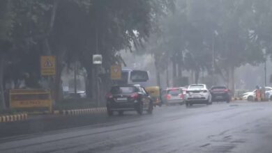 दिल्ली-NCR में बारिश: ठंडी हवाएं और कोहरे से राहत मिली, 24 घंटे बाद फिर हो सकती है बारिश