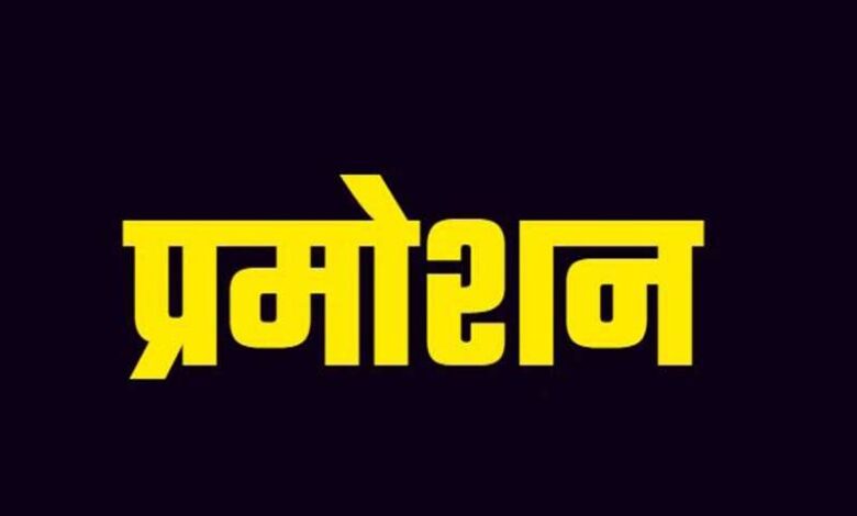 पदोन्नति में अफसर मस्त कर्मचारी कर्मचारी त्रस्त