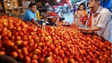 टमाटर की अच्छी आवक, अप्रैल माह तक सस्ते मिलेंगे