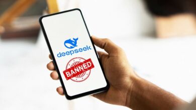 अमेरिका का साइबर सुरक्षा पर सख्त रुख, चीनी ऐप DeepSeek पर लगाया बैन