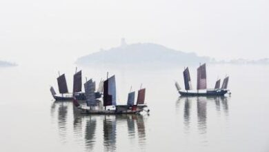 बर्फीली हवा और कोहरे की चपेट में उत्तर भारत, 6 दिनों तक न्यूनतम तापमान 6-7 डिग्री रहेगा 