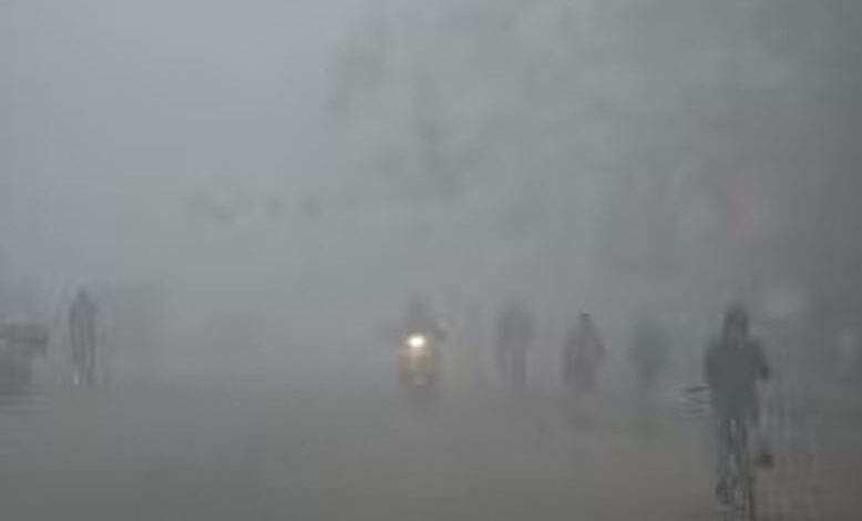 हरियाणा में सामान्य से अधिक तापमान, फसल पर असर का डर हरियाणा में सामान्य से अधिक तापमान, फसल पर असर का डर