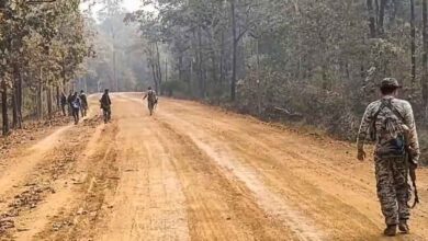 इंद्रावती नेशनल पार्क के जंगल में बुलाई थी बैठक, 100 KM पैदल चलकर जवानों ने ढेर किए 31 नक्सली