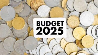 Budget 2025: कब और कहां देख सकते हैं बजट का लाइव भाषण? एक क्लिक में जानें