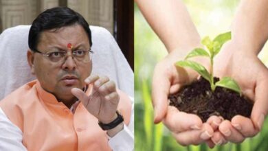 Uttarakhand News- पौधा लगाओ, पैसा खाओ..! धामी सरकार ने 1 पौधा लगाने में खर्च कर दिए 4,608 रुपए, आखिर किसने-कितना पैसा खाया है?